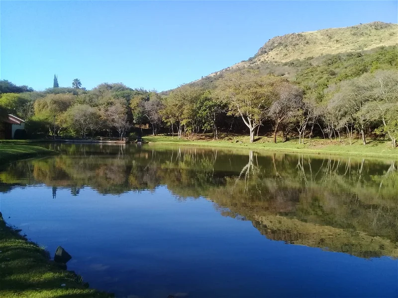 Dullstroom stillwater at sunrise